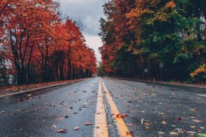 What Are the 4 Seasons of Personal Injury?